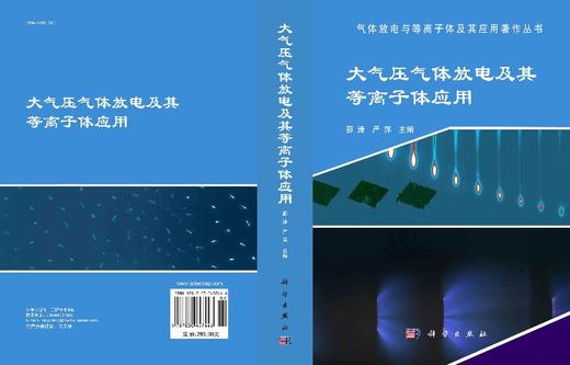 大气压气体放电及其等离子体应用 商品图3