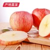 【洛川苹果】12枚装 约7斤（85mm）（产地直发） 商品缩略图3