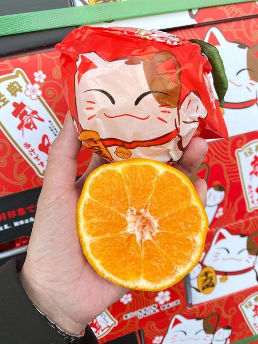 周四取货：【礼盒招财猫春见】一箱毛重8斤左右，果肉饱满，好吃不上火！ 超甜！超嫩！甜蜜多汁！ 商品图1