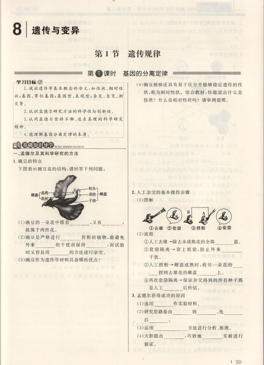 钟书金牌 金典导学案 生命科学 高中第三册 上海版 学练考三合一 适合参加新高考的学生使用 上海高中三年级学生生物总复习 商品图3
