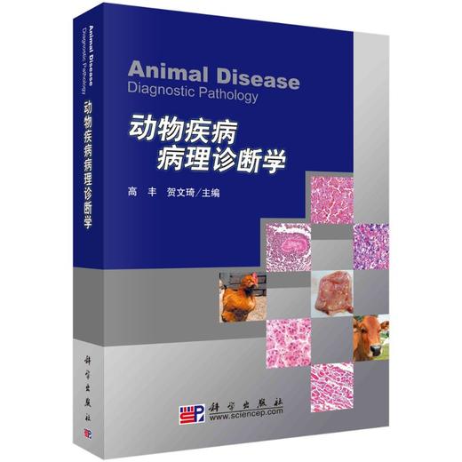 动物疾病病理诊断学 商品图0