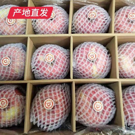 【洛川苹果】12枚装 约7斤（85mm）（产地直发） 商品图7