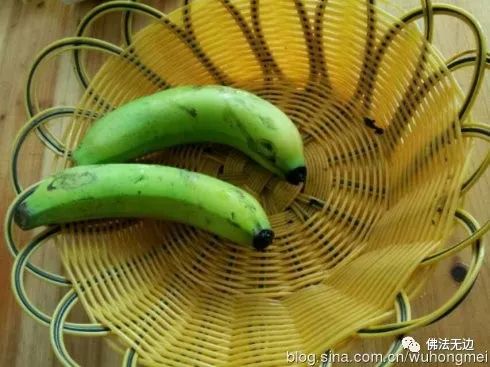 儒兰金线莲是怎么长成的?