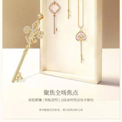 莱绅通灵AU750镶钻饰品 商品图4