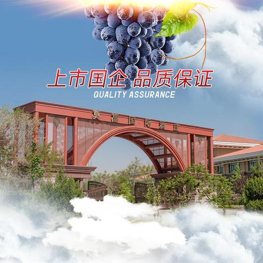 莫高 长相守冰酒 冰白葡萄酒甜酒 陈酿2年 500ml 单盒装 商品图4