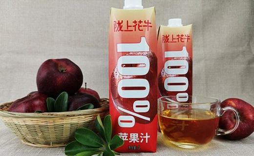 陇上花牛苹果汁1000ml*6瓶无添加果汁饮料 商品图1