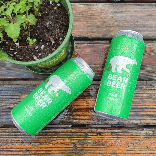 德国进口 豪铂熊（BearBeer）豪铂熊清爽啤酒500ml*24听整箱装 商品图1