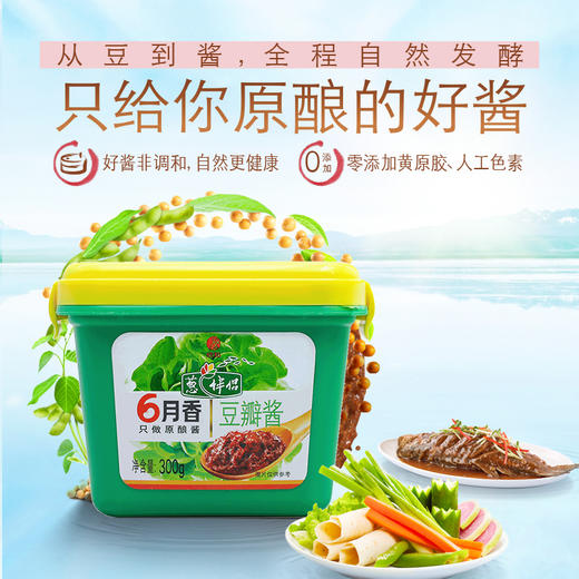 欣和 调味酱 葱伴侣 6月香 豆瓣酱300g 商品图3