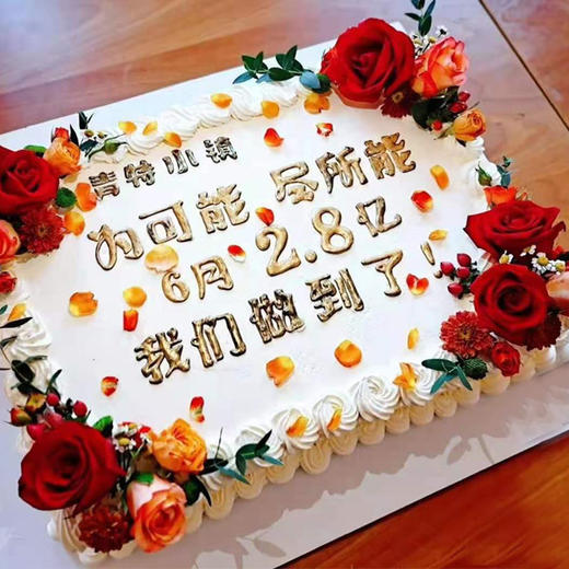 黑巢-红色系企业用蛋糕生日蛋糕 商品图0