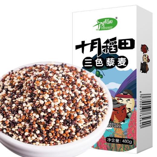 十月稻田 三色藜麦 （藜麦米 藜麦 黎麦 轻食 五谷杂粮 大米伴侣 粥米搭档 真空装）480g 商品图0