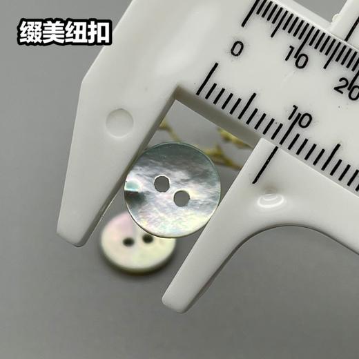 二眼马氏贝(整包购买) 商品图4