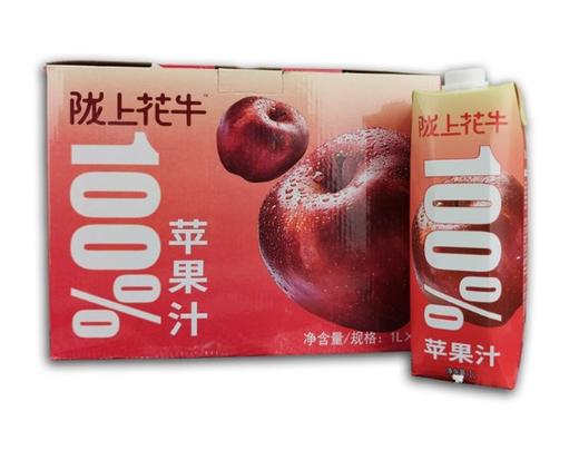 陇上花牛苹果汁1000ml*6瓶无添加果汁饮料 商品图0