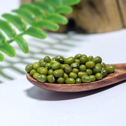 北纯 绿豆（粗粮 东北 真空包装 五谷杂粮 大米伴侣）400g 商品图2