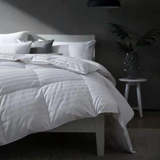 【costco火爆销售60万条】白鹅绒被 商品图2