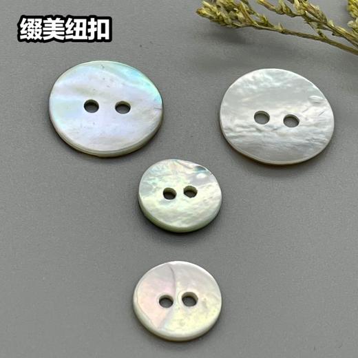 二眼马氏贝(整包购买) 商品图3