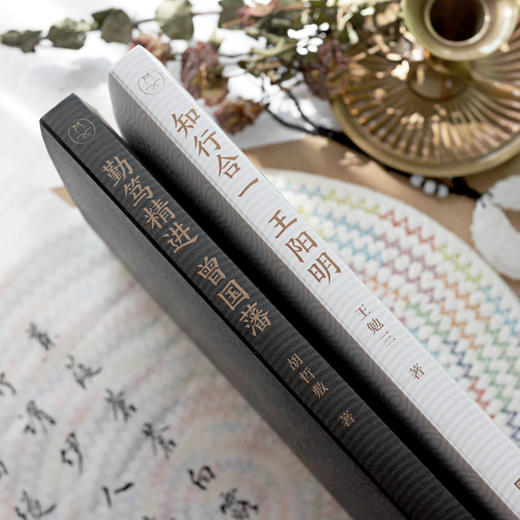 《勤笃精进曾国藩》+《知行合一王阳明》| 千古两圣贤，备受好评的彩色插图有声版传记 商品图3