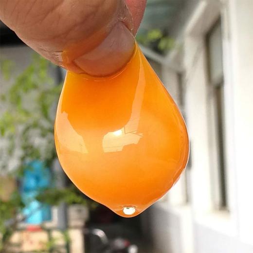 土鸡蛋礼盒1盒/40枚 约2500g 商品图1