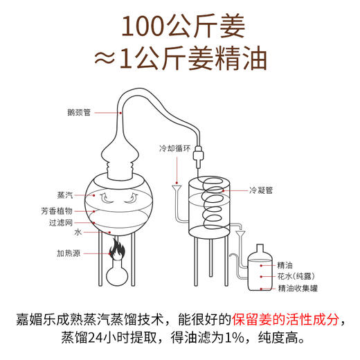 【双12大促】嘉媚乐姜精油  舒展红润  暖心呵护  改善气色  温暖身心  单方精油 商品图3