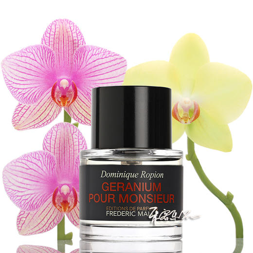 Frederic Malle 天竺葵摩登男士香水 Geranium Pour Monsieur 小样/正装 商品图0