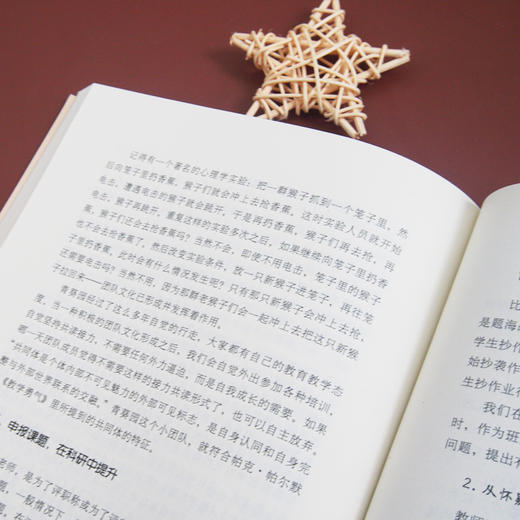 遭遇青春期学生 应对青春期症候群的教育智慧  大夏书系 叛逆期健康成长研究 知名班主任吴樱花 家庭教育干预 商品图3