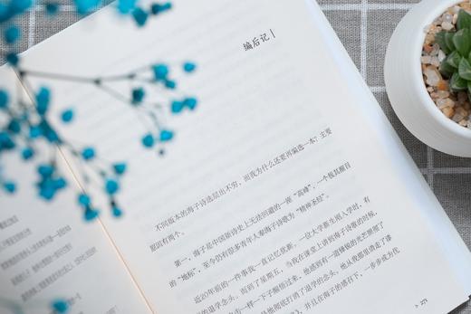 《从明天起，做一个幸福的人：海子经典诗选》| 海子经典作品全收录，精装有声版 商品图7