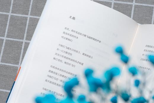 《从明天起，做一个幸福的人：海子经典诗选》| 海子经典作品全收录，精装有声版 商品图6