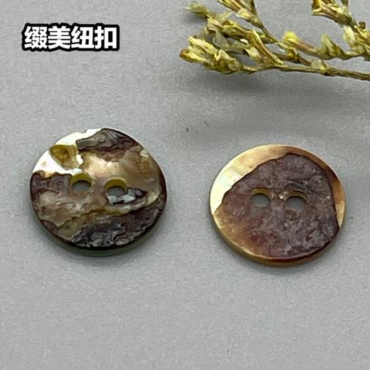 二眼马氏贝(整包购买) 商品图2