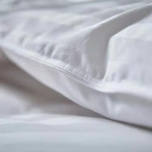 【costco火爆销售60万条】白鹅绒被 商品图3