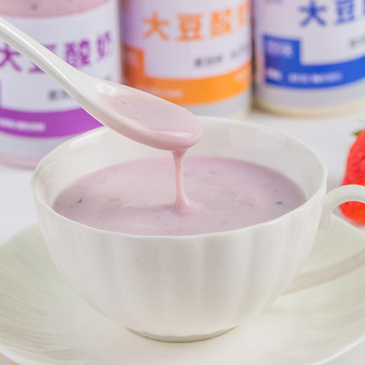 豆妃素酸奶  富含活性益生菌 助消化 元气满满小瓶装205g/瓶  大瓶装900g/瓶 商品图2