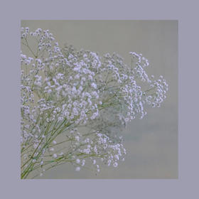 满天星—百万星