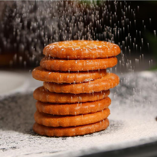 KJ 藤野一村日式海盐小圆饼干138g罐装 抖音网红小饼干奶盐咸味零食品 商品图2