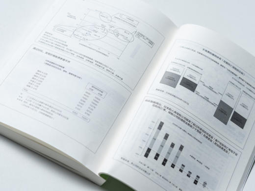 《事业开发》| 进入新领域、开发新事业，不打无准备的仗！（MBA轻松读） 商品图9