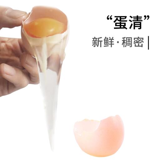 土鸡蛋礼盒1盒/40枚 约2500g 商品图6