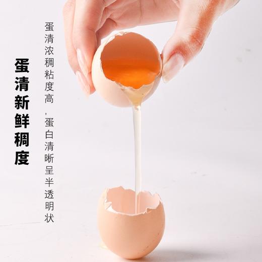 土鸡蛋礼盒1盒/40枚 约2500g 商品图7