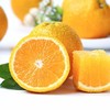 建阳桔柚 | 正宗福建特产 高山甜桔柚 商品缩略图0