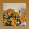 多头玫瑰—柠檬泡泡 商品缩略图0