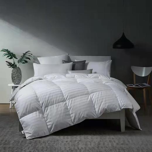 【costco火爆销售60万条】白鹅绒被 商品图1