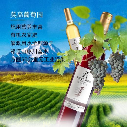 莫高 长相守冰酒 冰白葡萄酒甜酒 陈酿2年 500ml 单盒装 商品图6