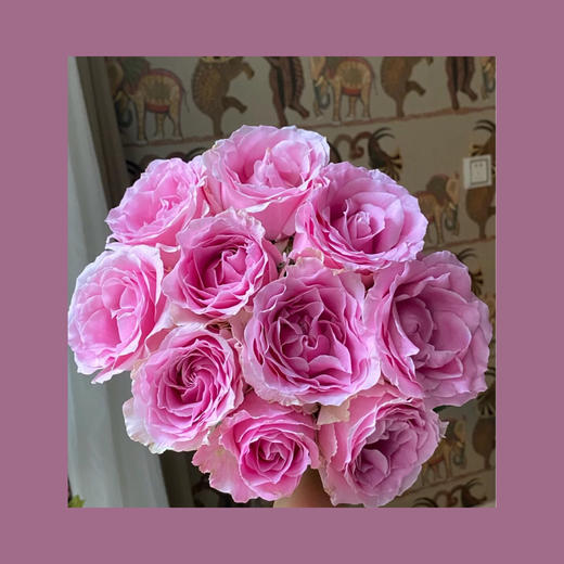 玫瑰— 娇兰 商品图0