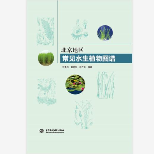 北京地区常见水生植物图谱 商品图0