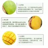 海南 水仙芒果 1个/约700g 商品缩略图2