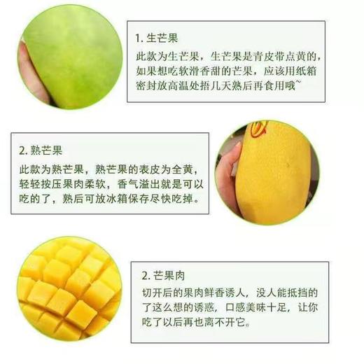 海南 水仙芒果 1个/约700g 商品图2