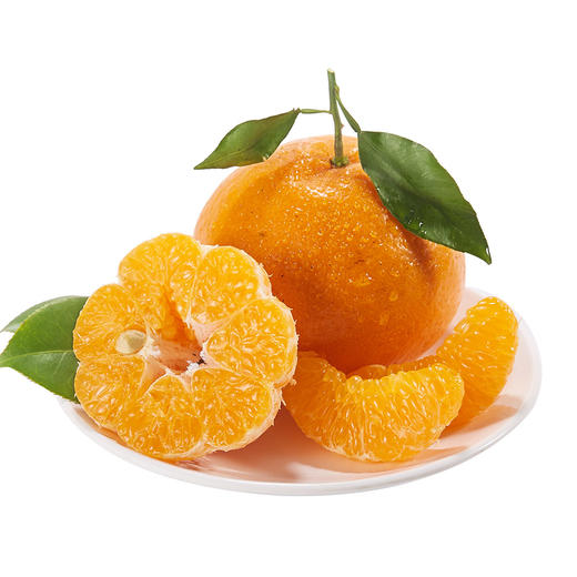 【春见耙耙柑】春见耙耙柑 四川眉山耙耙柑 现摘现发 手剥柑橘 丑柑 商品图7