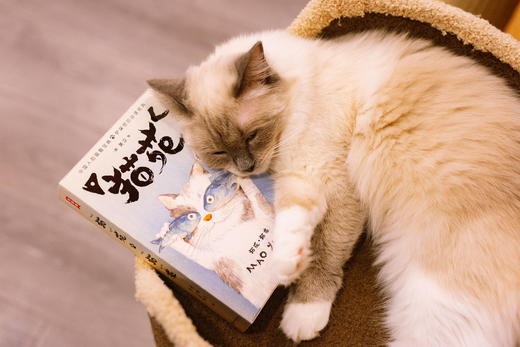 《猫苑猫乘》 | 中国人吸猫宝典 带你看透猫的808个小秘密，赠送精美猫猫形状书签和贴纸 商品图2