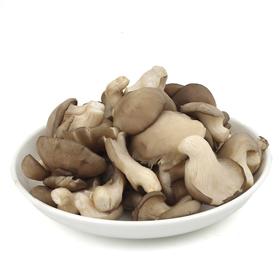 秀珍菇 250g/500g