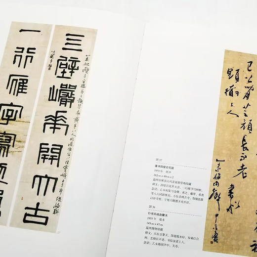 【潘天寿三种】《童中熹解读潘天寿》《雁荡山花：潘天寿写生研究》《潘天寿绘画作品解析》童中熹、陈永怡等著 16开彩版 商品图4