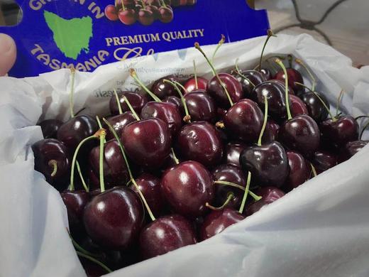 #澳洲*空运特级*塔斯马尼亚#全球公认的车厘子王者科迪亚，车厘子季在此圆满！ 商品图2