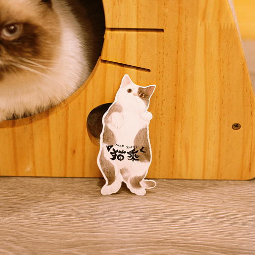 《猫苑猫乘》 | 中国人吸猫宝典 带你看透猫的808个小秘密，赠送精美猫猫形状书签和贴纸 商品图8
