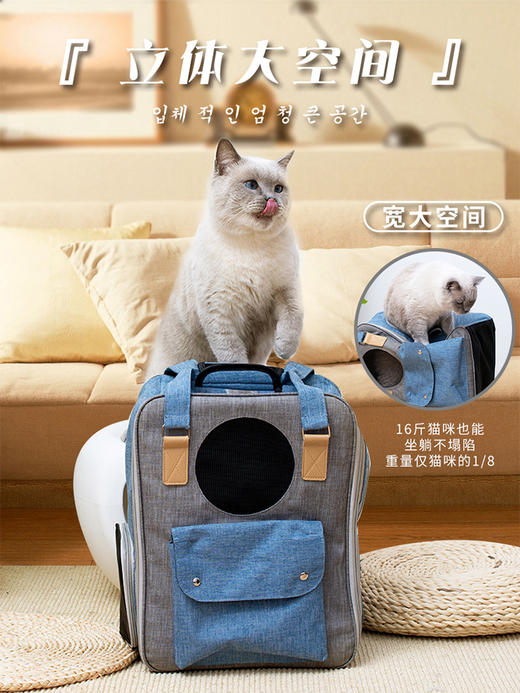 猫包外出便携太空舱双肩背包猫背包可手提狗狗出行宠物用品大容量 商品图10