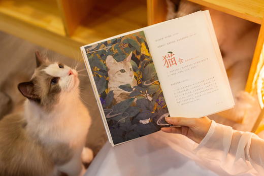 《猫苑猫乘》 | 中国人吸猫宝典 带你看透猫的808个小秘密，赠送精美猫猫形状书签和贴纸 商品图9